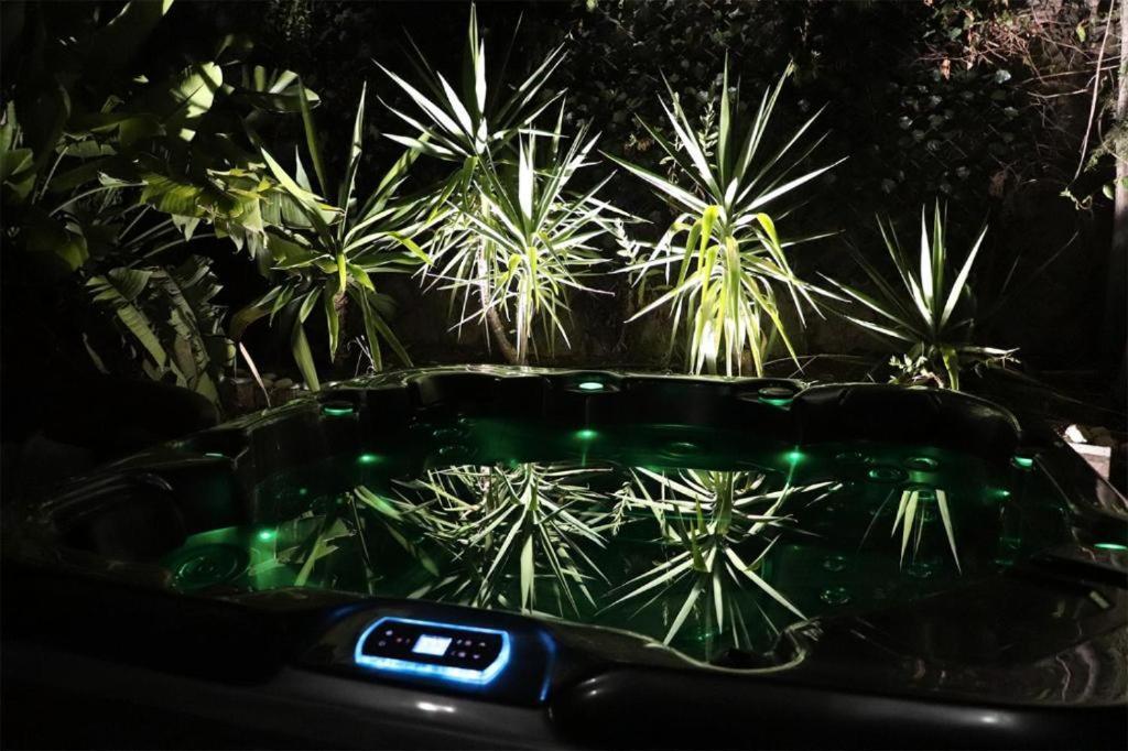 Luxury Jacuzzi Home & Terraces Malaga Exterior photo
